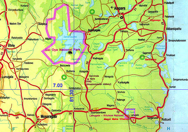 60n803e.jpg (109120 bytes)