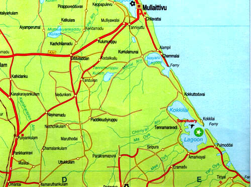 60n803e.jpg (109120 bytes)